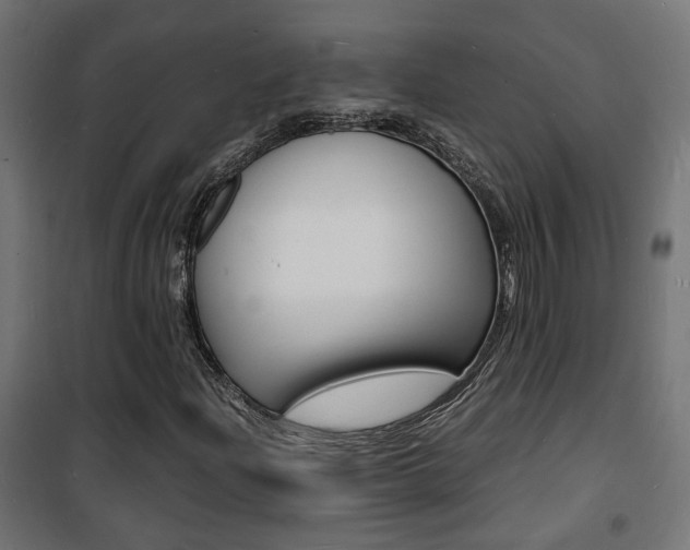 X0000101481204200807071235