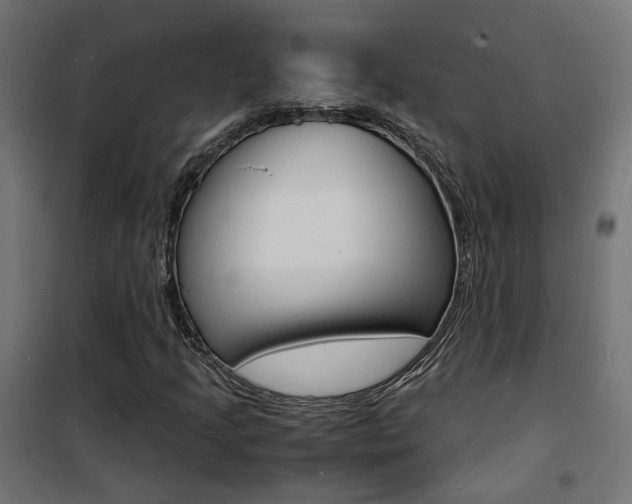 X0000101481205200807071235