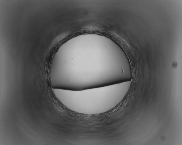 X0000101481207200807071235