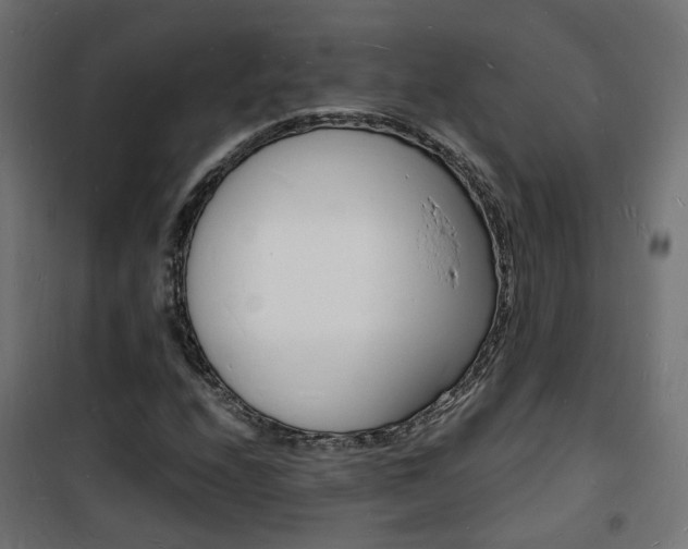 X0000101481208200807071235