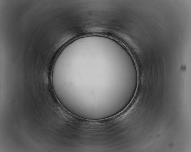 X0000101481209200807071235