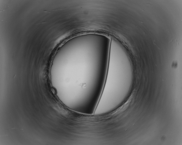 X0000101481210200807071235