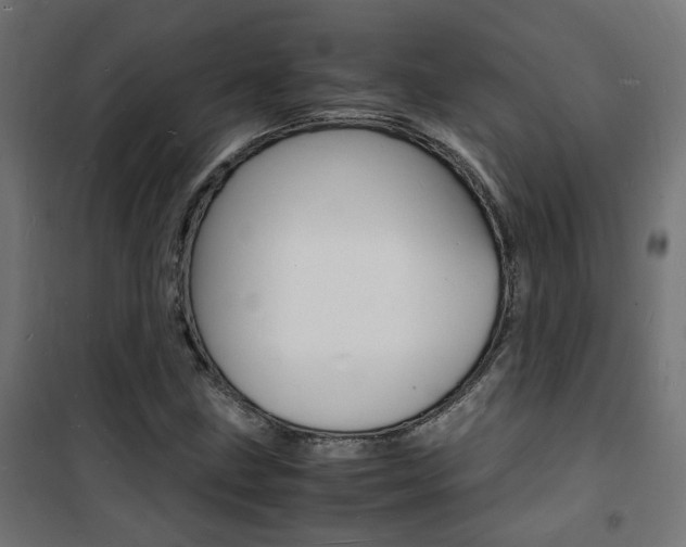 X0000101481211200807071235