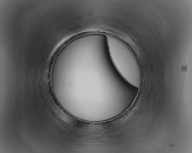X0000101481216200807071235