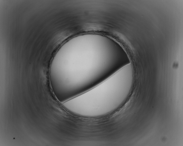 X0000101481217200807071235