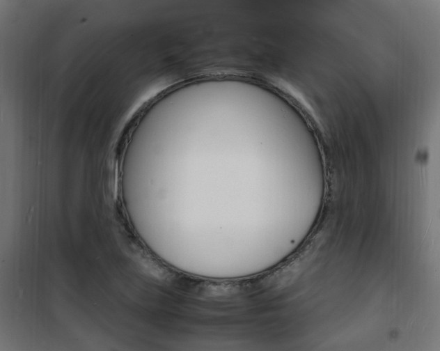 X0000101481219200807071235