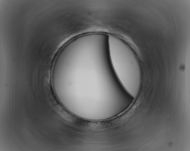 X0000101481220200807071235