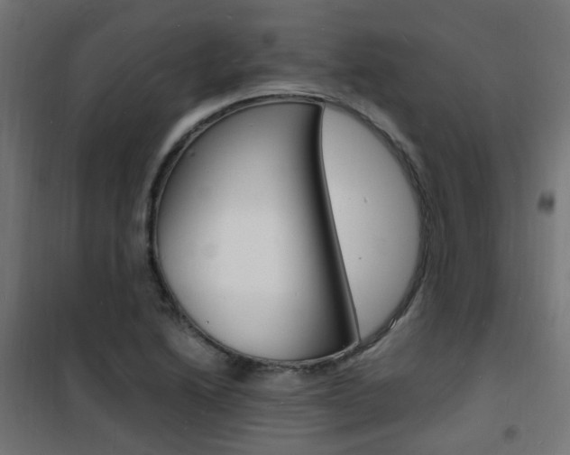 X0000101481222200807071235