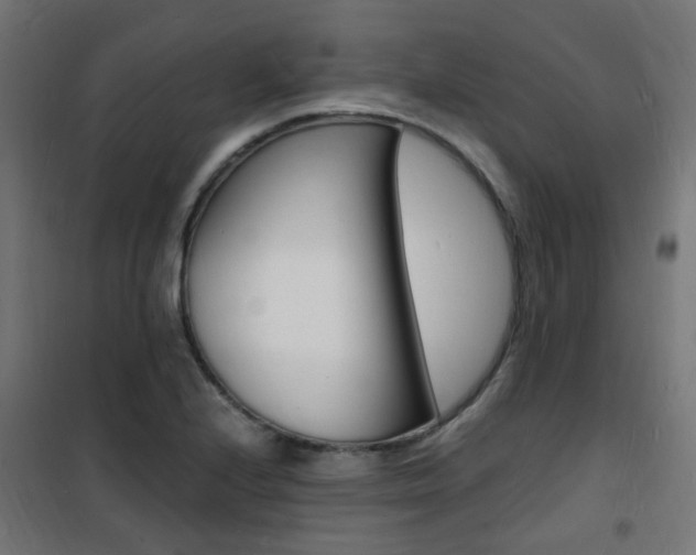 X0000101481224200807071235