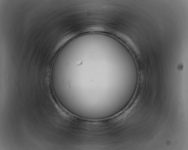 X0000101481225200807071235