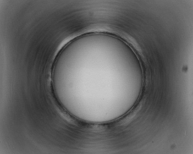 X0000101481226200807071235