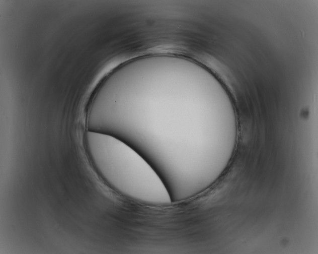 X0000101481227200807071235
