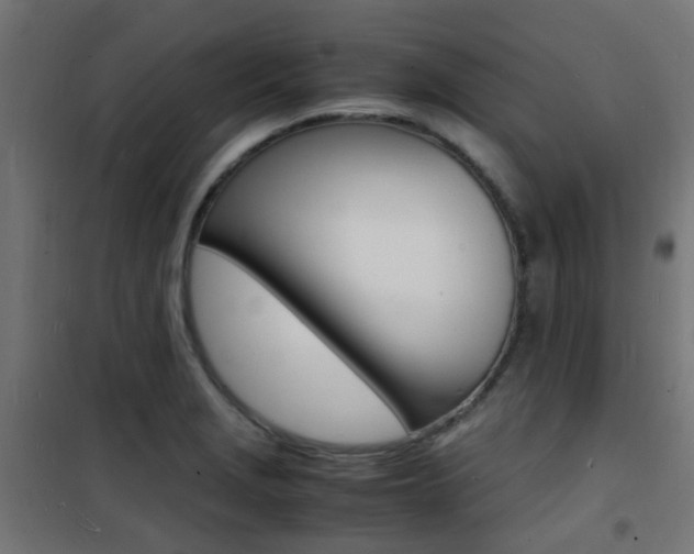 X0000101481229200807071235