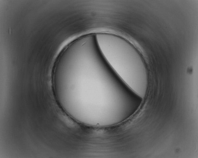 X0000101481230200807071235