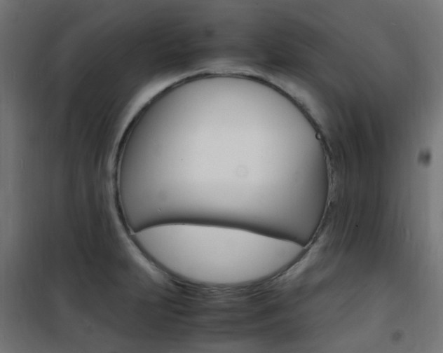 X0000101481231200807071235