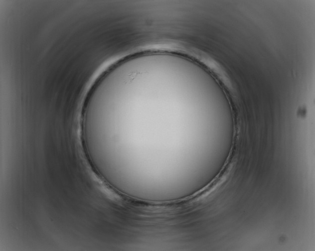 X0000101481232200807071235