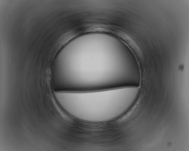 X0000101481233200807071235