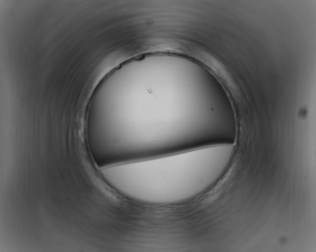 X0000101481234200807071235