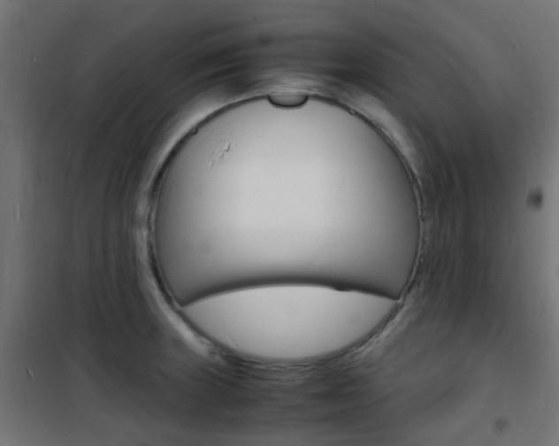 X0000101481235200807071235