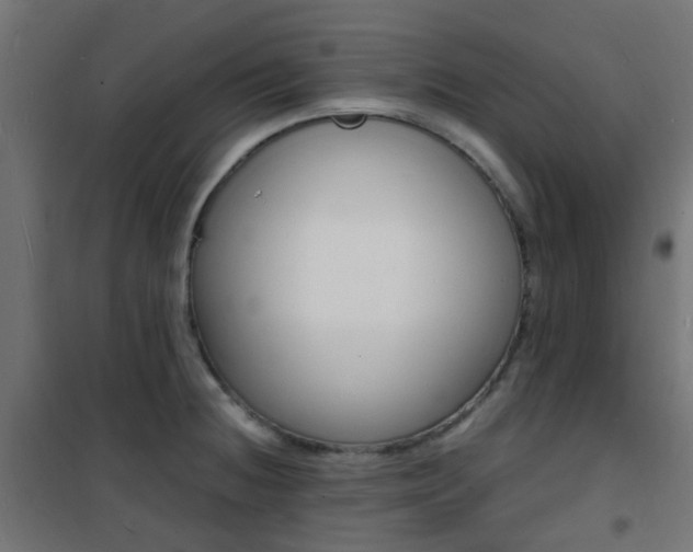 X0000101481236200807071235