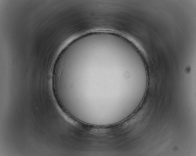 X0000101481237200807071235