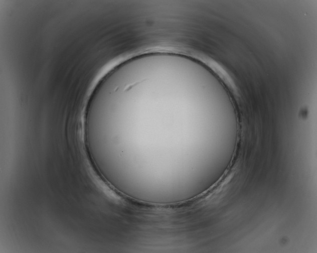 X0000101481238200807071235