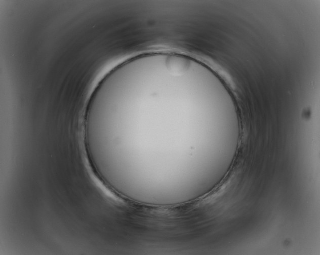 X0000101481239200807071235