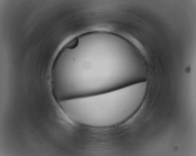 X0000101481240200807071235