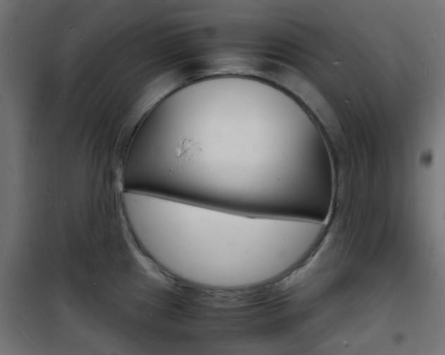 X0000101481241200807071235
