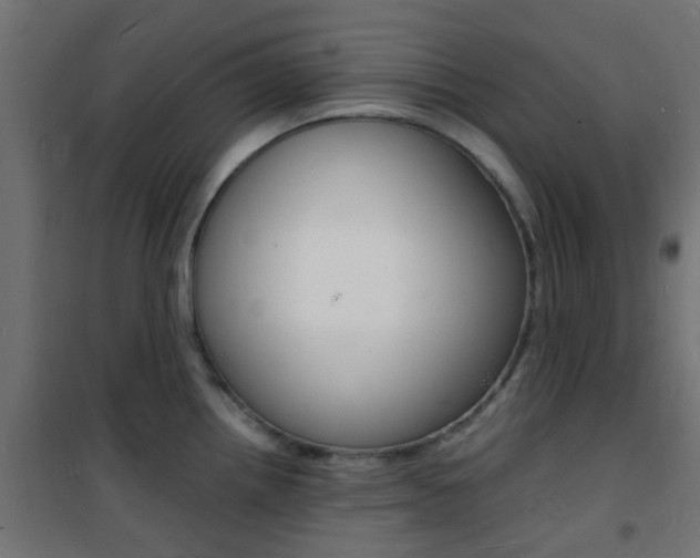 X0000101481242200807071235