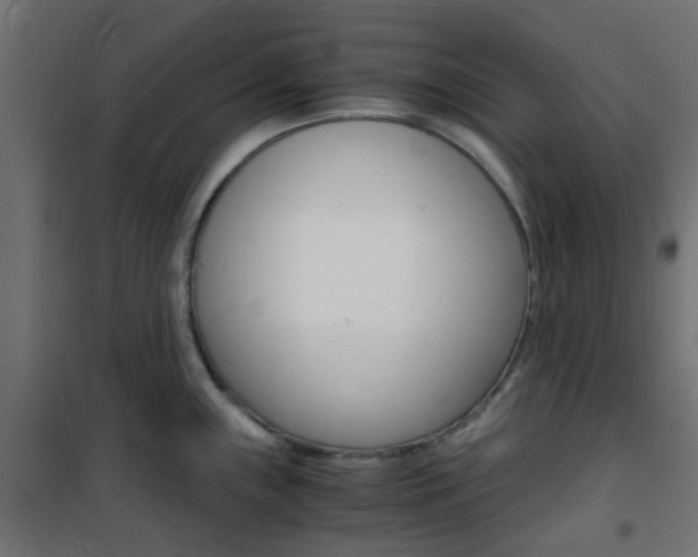 X0000101481243200807071235