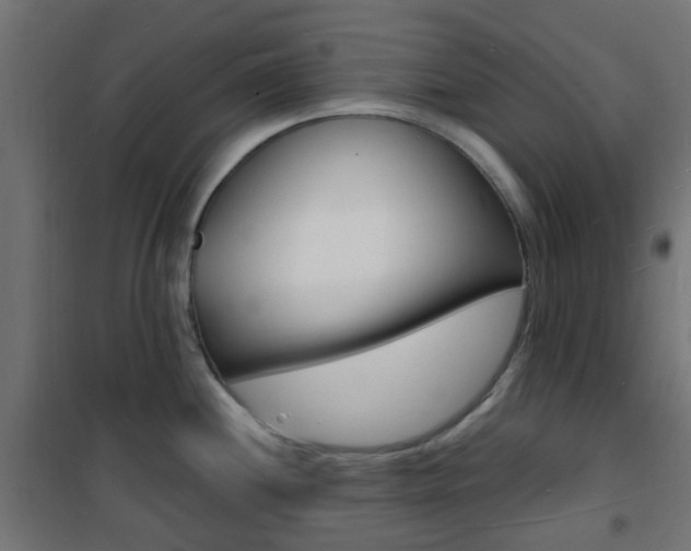 X0000101481244200807071236