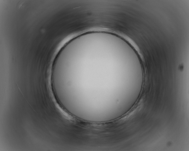 X0000101481245200807071236