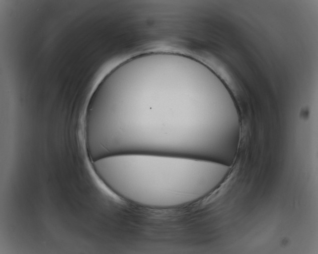 X0000101481247200807071236