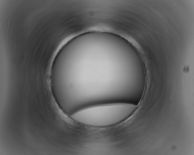 X0000101481248200807071236