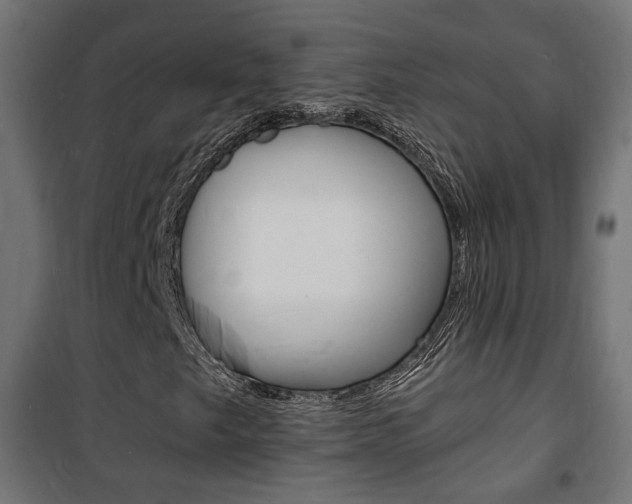 X0000101481249200807071235