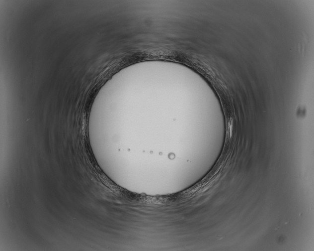 X0000101481251200807071235