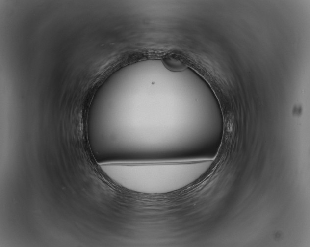 X0000101481252200807071235