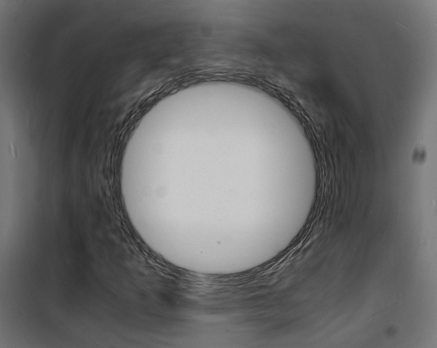 X0000101481253200807071235