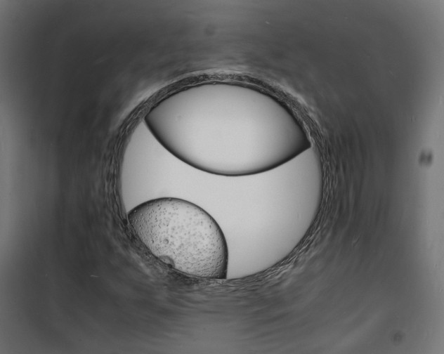 X0000101481255200807071234