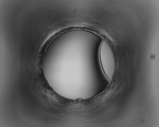 X0000101481256200807071234