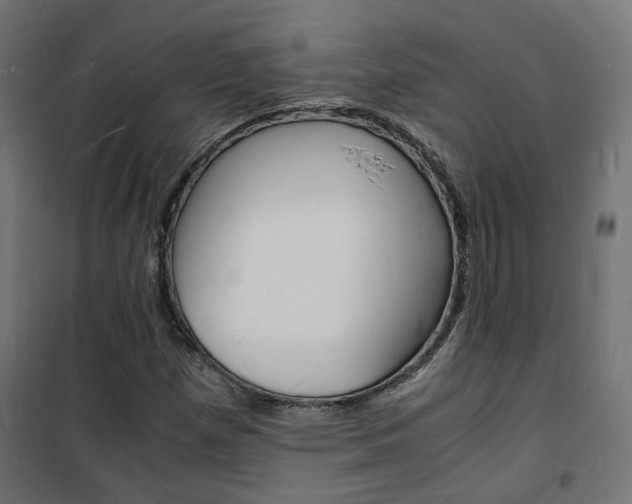 X0000101481257200807071234