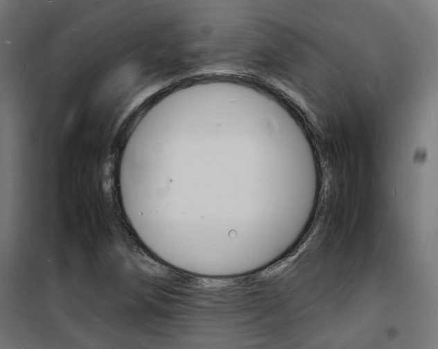X0000101481258200807071234