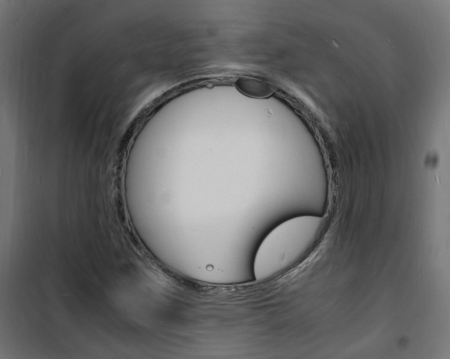 X0000101481259200807071234