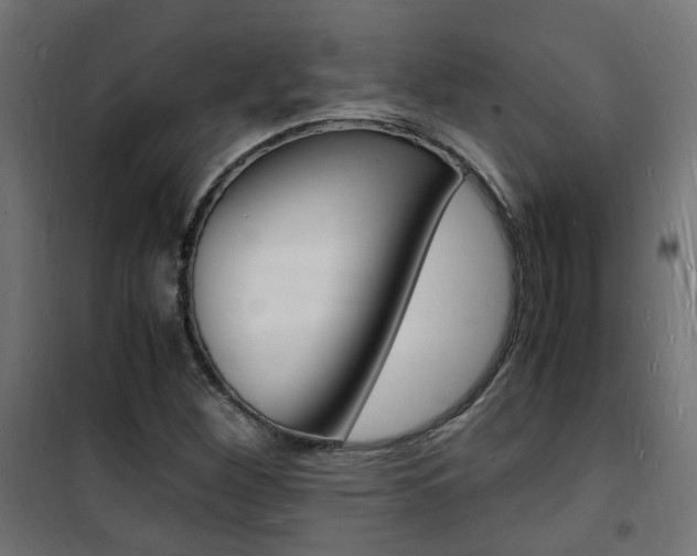 X0000101481260200807071234