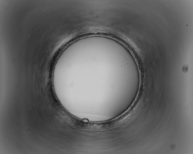 X0000101481261200807071234