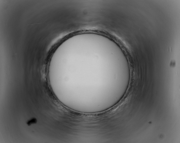 X0000101481262200807071234