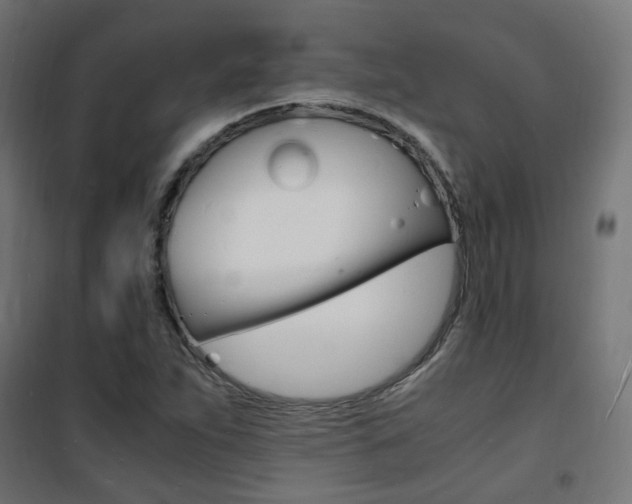 X0000101481263200807071234