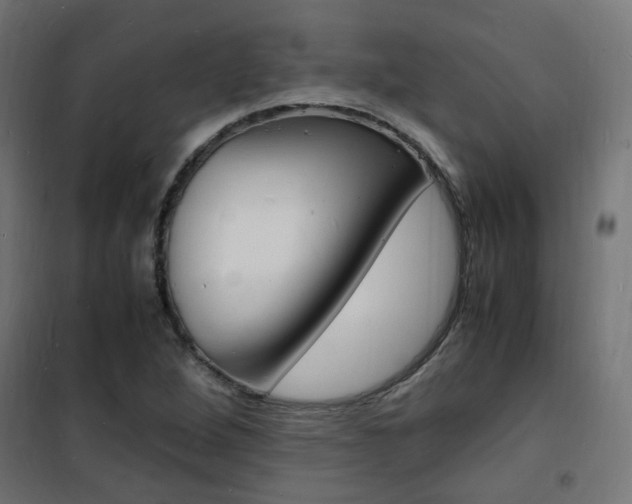 X0000101481264200807071234