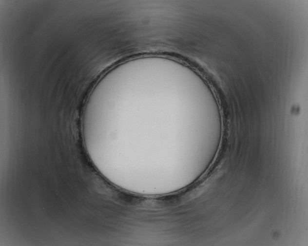 X0000101481265200807071234